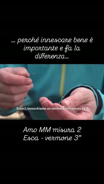 Innesco di un'esca su un amo MM